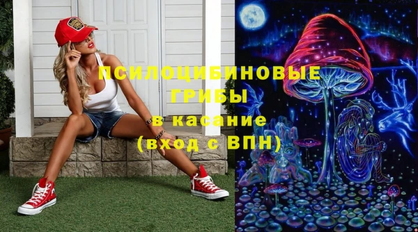 гашик Беломорск