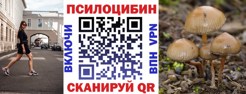 Галлюциногенные грибы прущие грибы  Няндома 